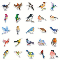 50 Watercolor Bird Stickers Parrot Finch Designs for Laptops Phones Cars