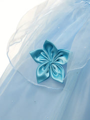 Girls Princess Dress Puff Sleeve Tulle Rose Print Floral Decor Cosplay
