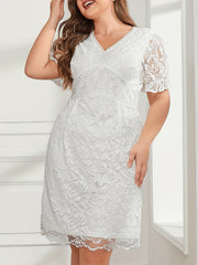 Lace Sleeve V Neck Waist Dress
