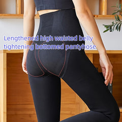 Plush Lined Tights High Waist Thermal Leggings Women's Stockings