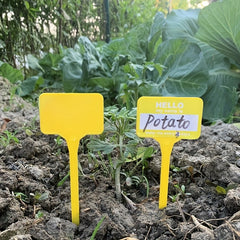 10pcs T Type Garden Plant Labels Track Your Plants