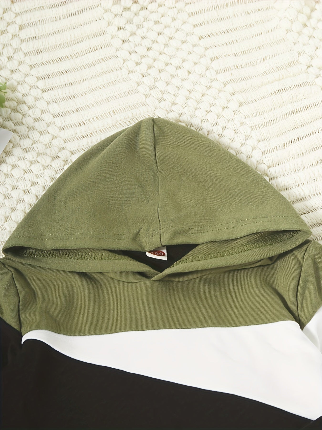 Boy's 2pcs Hoodie & Sweatpants Set Block Long Sleeve Top Casual Outfits