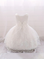 Baby Girls Floral Embroidery Princess Dress