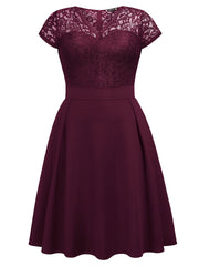 Contrast Lace Cap Sleeve V Neck A Line Dress