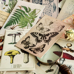 30 Sheets Biology Postcard Non Sticky Postcard Home Decor