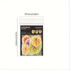 30pcs Autumn Leaves Sticker Pack DIY Plant Decoration Collage