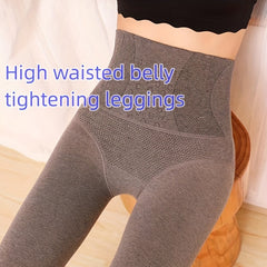 Plush Lined Tights Opaque High Waist Thermal Leggings Women's Stockings