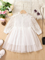 Lace Princess Dress For Toddler Girls Ruffle Collar Mesh Long Sleeve