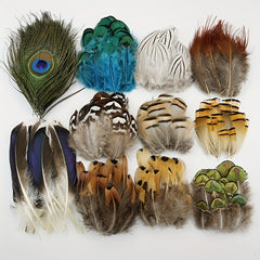 10pcs Mini Pheasant Feather for Cat Sticks & Dream Catcher