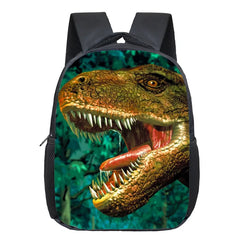 Dinosaur Magic Dragon Backpack Kids Schoolbags Boys Girls School Bags
