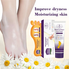 img_686385