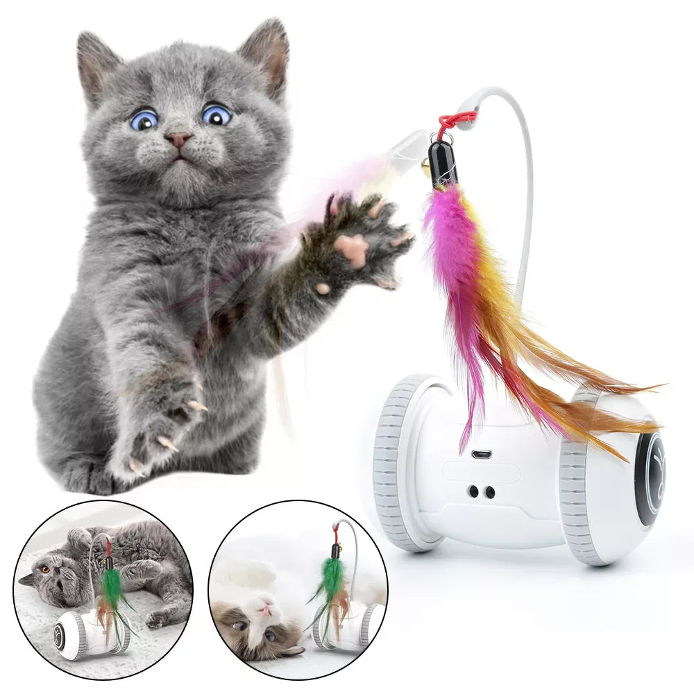 img_5086906