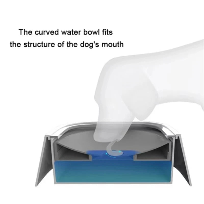img_245274