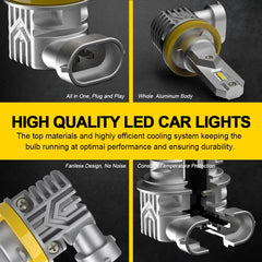 img_65019