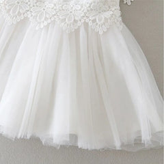 img_1522240