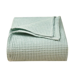 img_1343029
