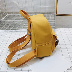Small Teenage School Bag Double Zipper Female Backpack