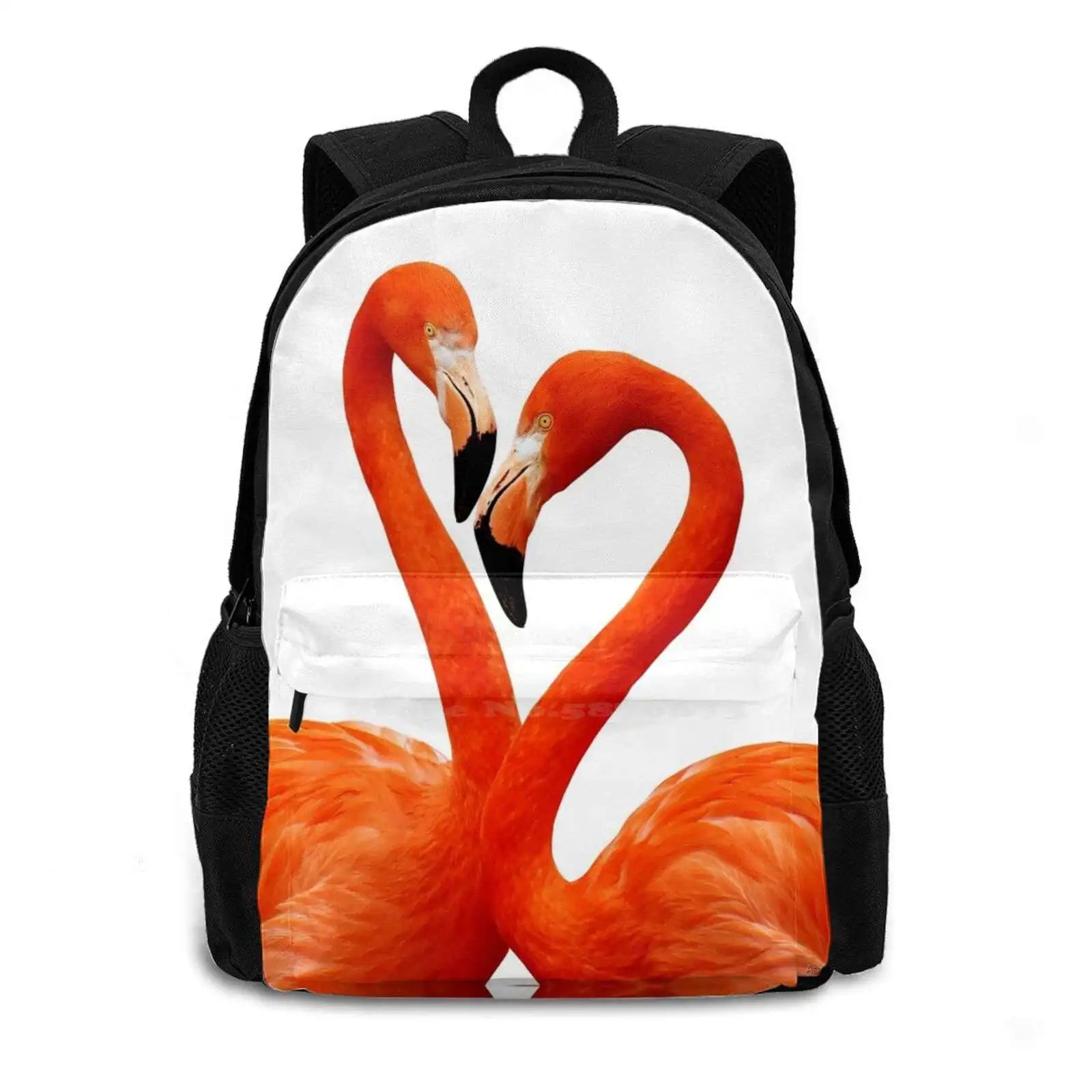 Flamingo Pink Birds Animals Nature Wildlife Wild Animals Tropical