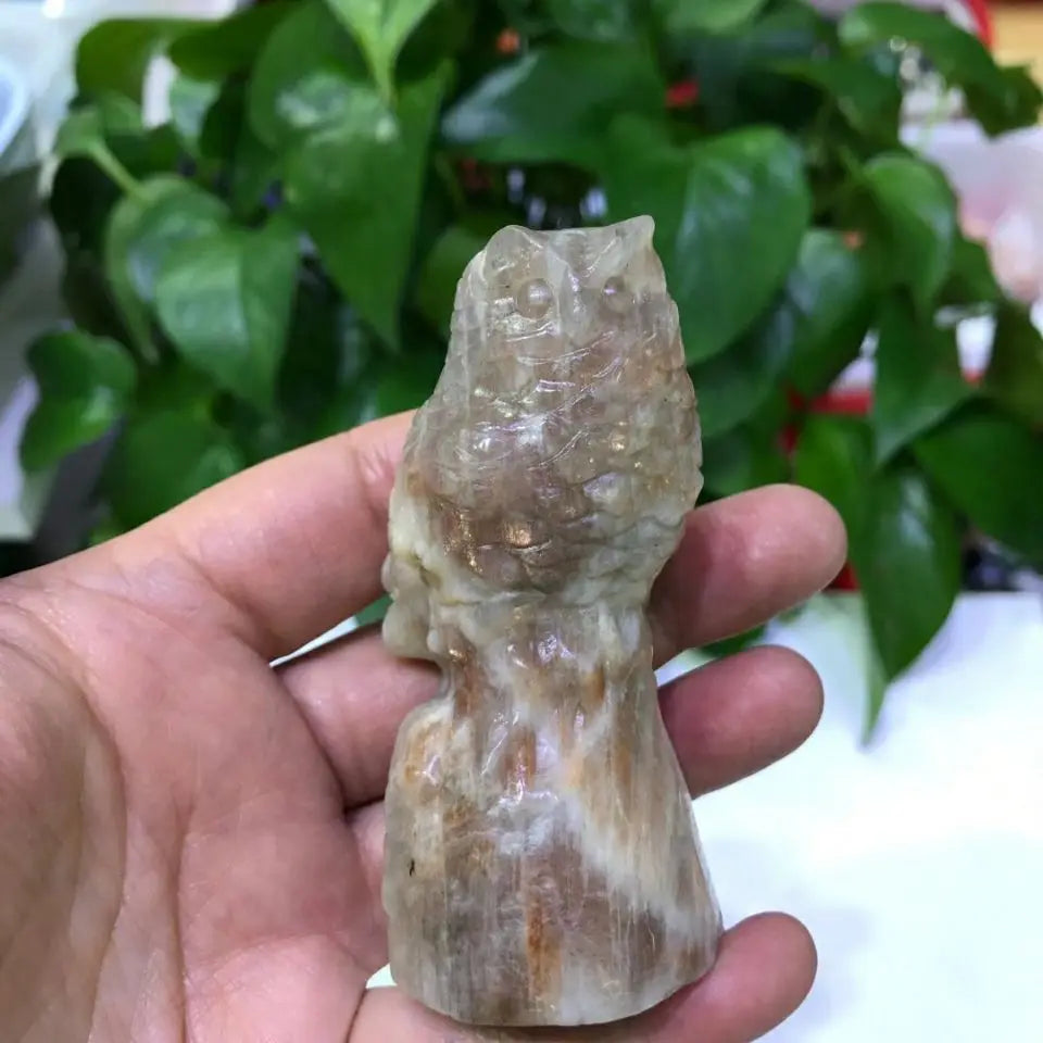 img_5111909