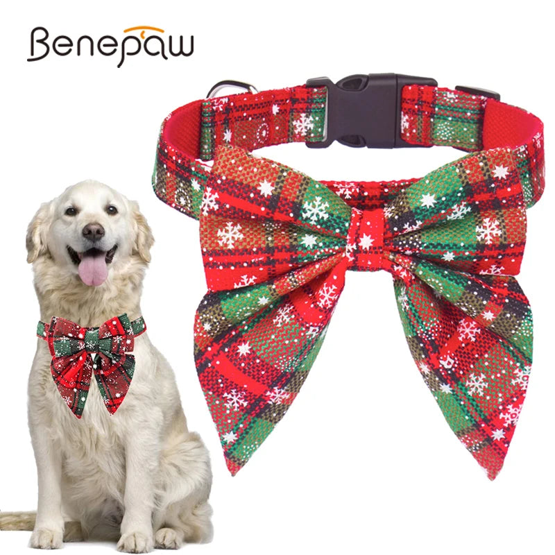 img_5021957