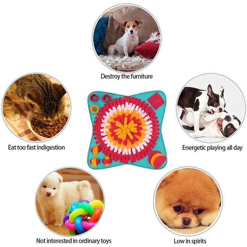 img_5100825