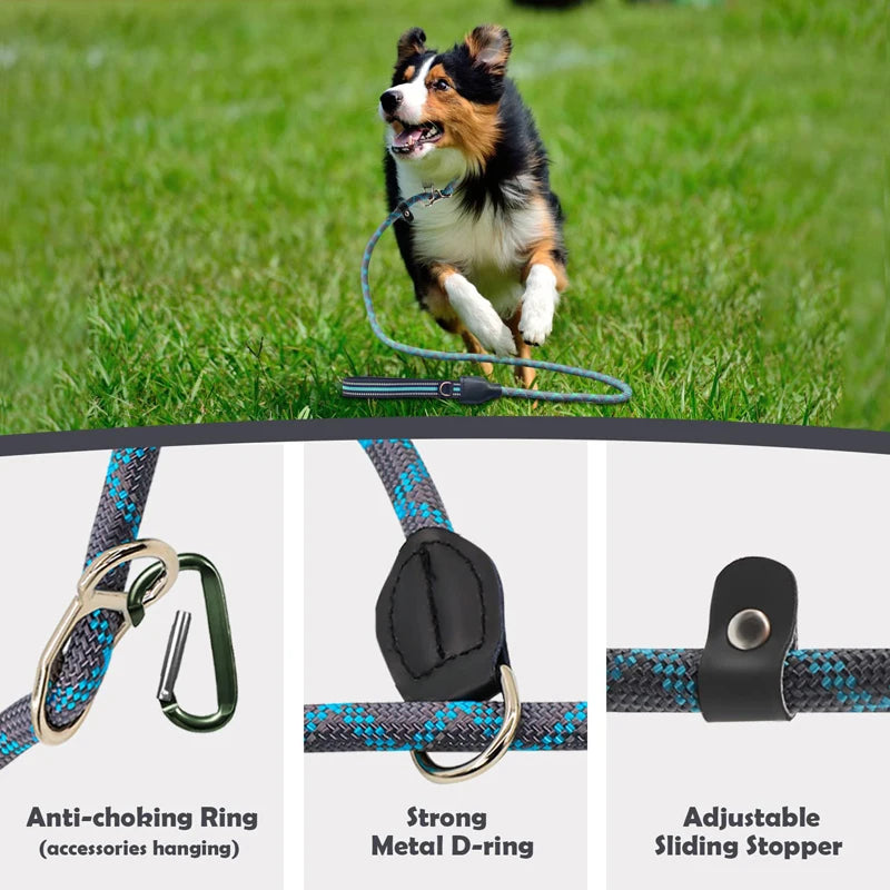 img_5038288