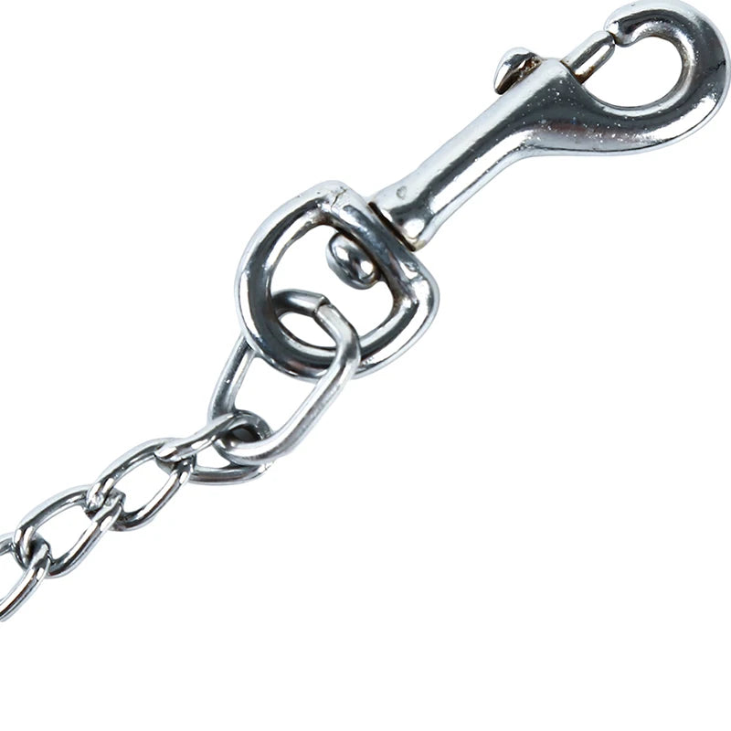 img_5041028