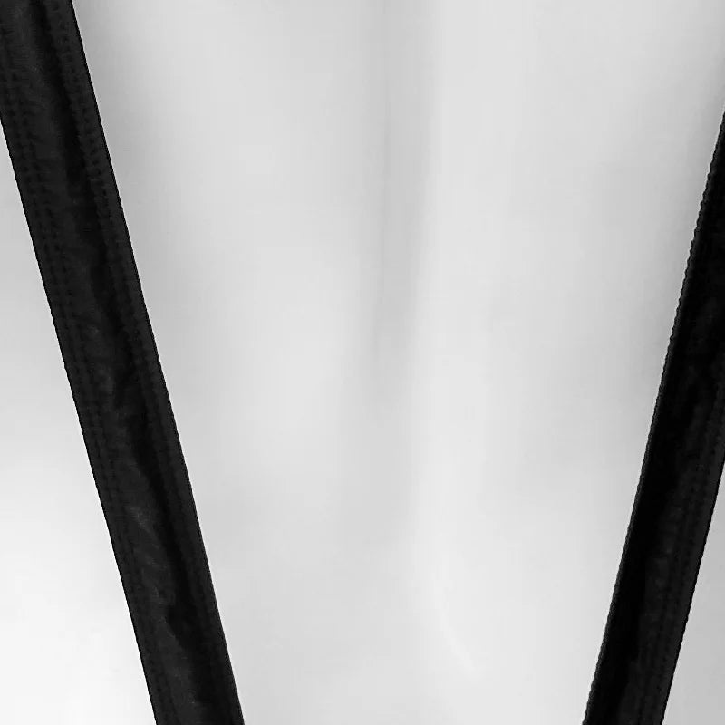 img_2599338
