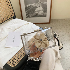 Transparent Acrylic Jelly Bag with Thick Chain Tote