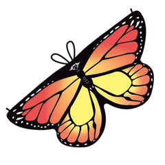 img_4931986