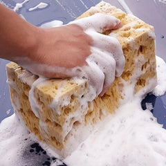 Car Cleaning Sponge Waxing Coral Bubble