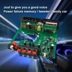600W Class D Power Amplifier Board for Home Karaoke