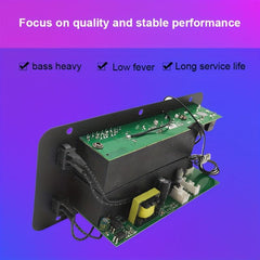 600W Class D Power Amplifier Board for Home Karaoke