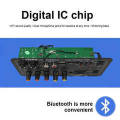 600W Class D Power Amplifier Board for Home Karaoke