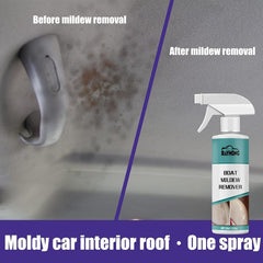 All Purpose Bleach Cleaner Spray for Home and Car