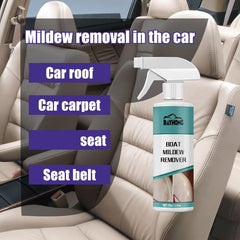 All Purpose Bleach Cleaner Spray for Home and Car