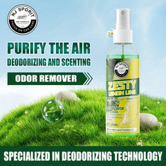 Car Interior Air Freshener Odor Remover Lemon Scent - Dual Use