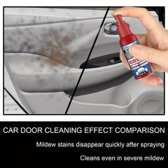 Car Mold Remover Cleaning Spray for Interior Seat Foot Pad Canopy Hair