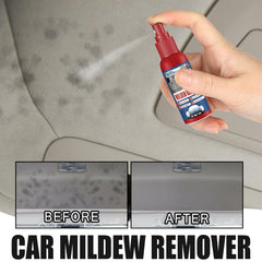 Car Mold Remover Cleaning Spray for Interior Seat Foot Pad Canopy Hair