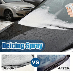 Winter Auto Glass Ice Melting and Snow Remover
