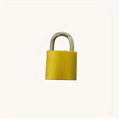 20mm Word Padlock