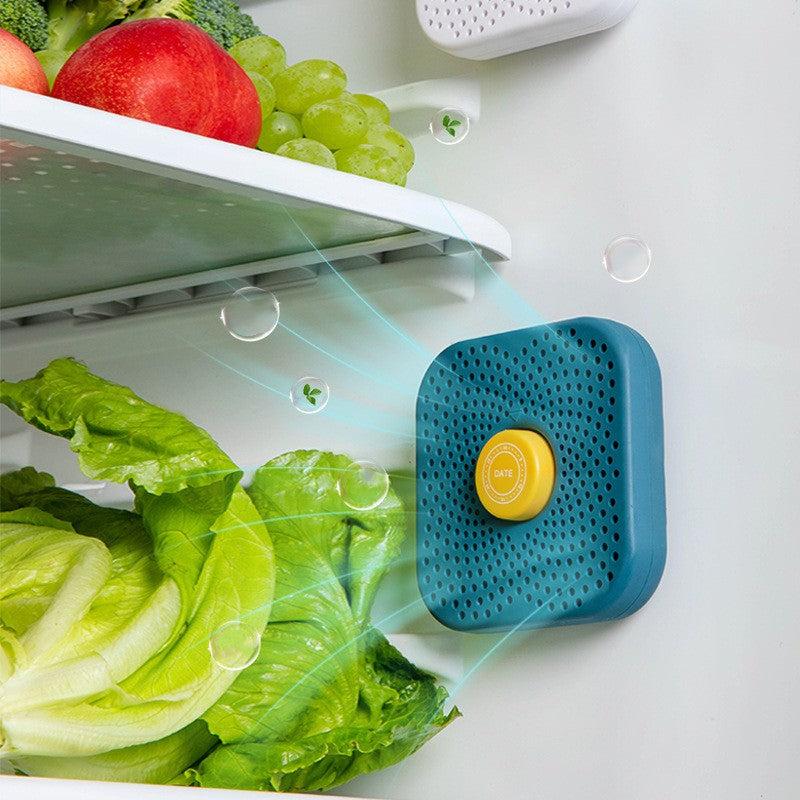 Refrigerator Deodorizer Box Air Purifier & Food Preservation