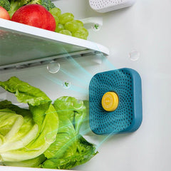 Refrigerator Deodorizer Box Air Purifier & Food Preservation
