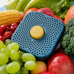 Refrigerator Deodorizer Box Air Purifier & Food Preservation