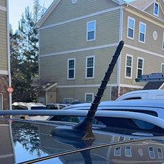 Spiral Bending Car Antenna - AM FM Reception Replacement