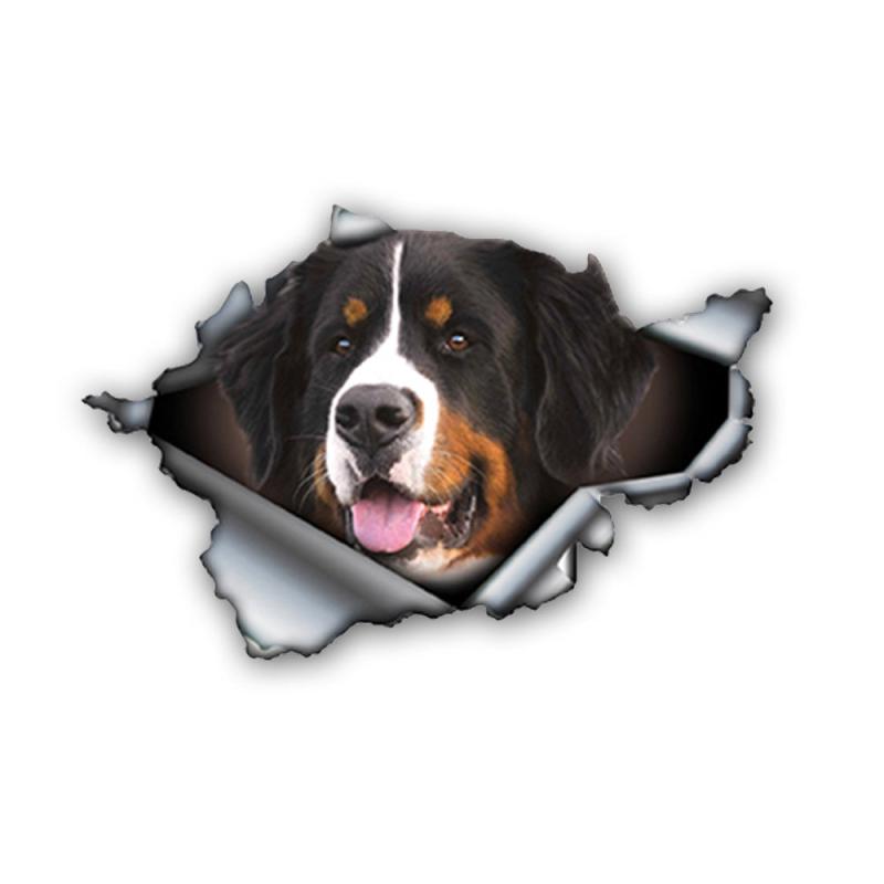 Bernese Mountain Dog Car Sticker Reflective Waterproof Pet Decal