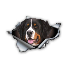 Bernese Mountain Dog Car Sticker Reflective Waterproof Pet Decal