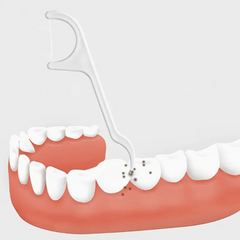 100pcs Individually Wrapped Dental Flossers