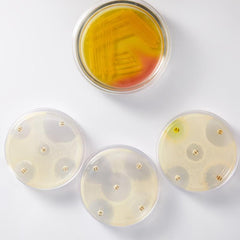 10pcs Sterile Cell Culture Dish