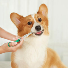 Pet Syringe Pill Gun Piller Dispenser Dog Cat Water Milk Tube Feeder Tool